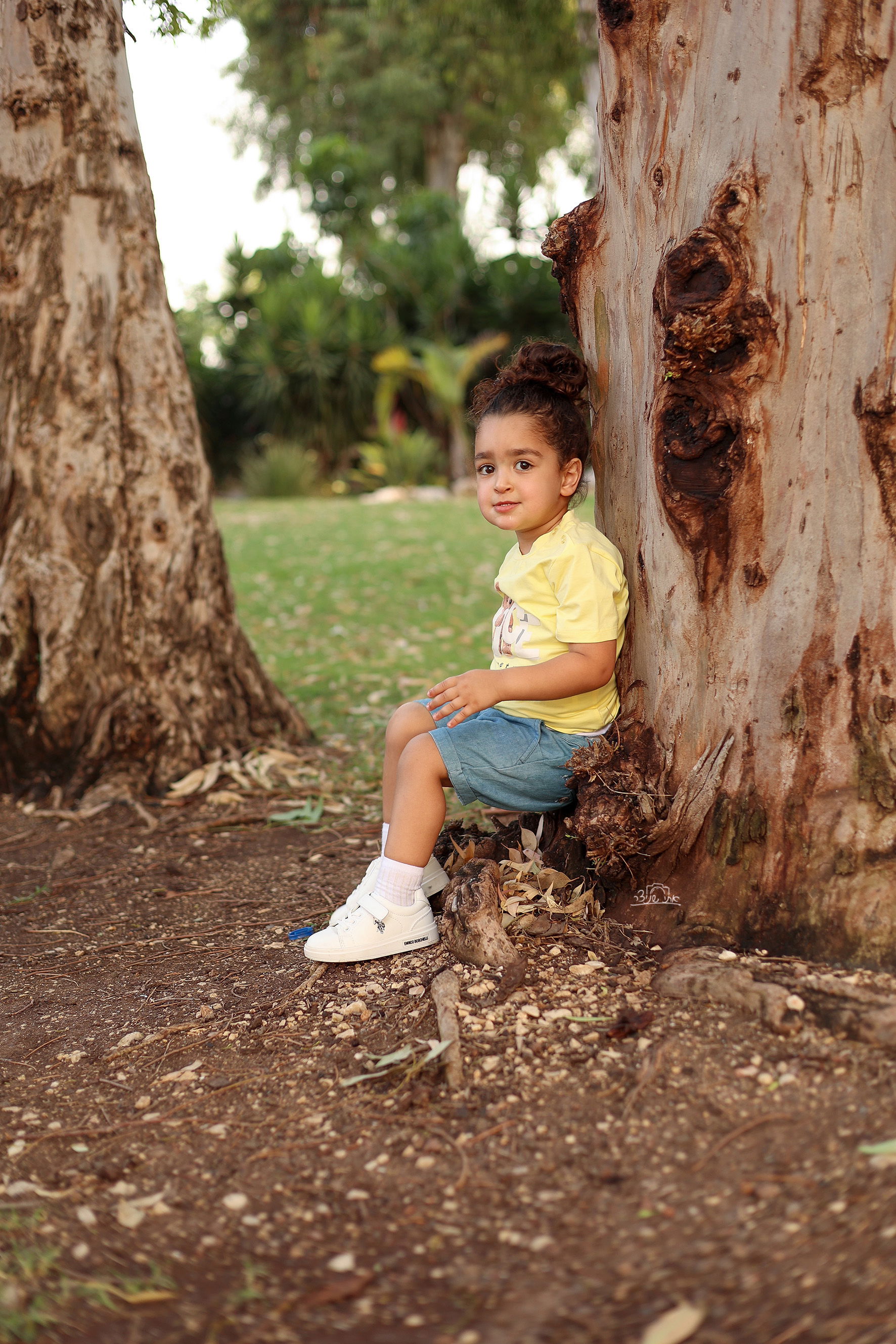 צילומי חלאקה משולבים בתמונות משפחתיות