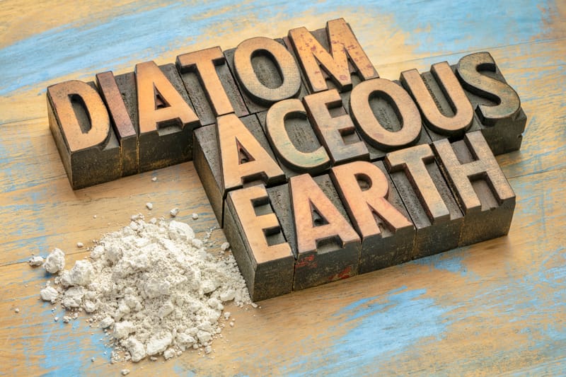 אדמה דיאטומית Diatomaceous Earth food grade 200 גרם