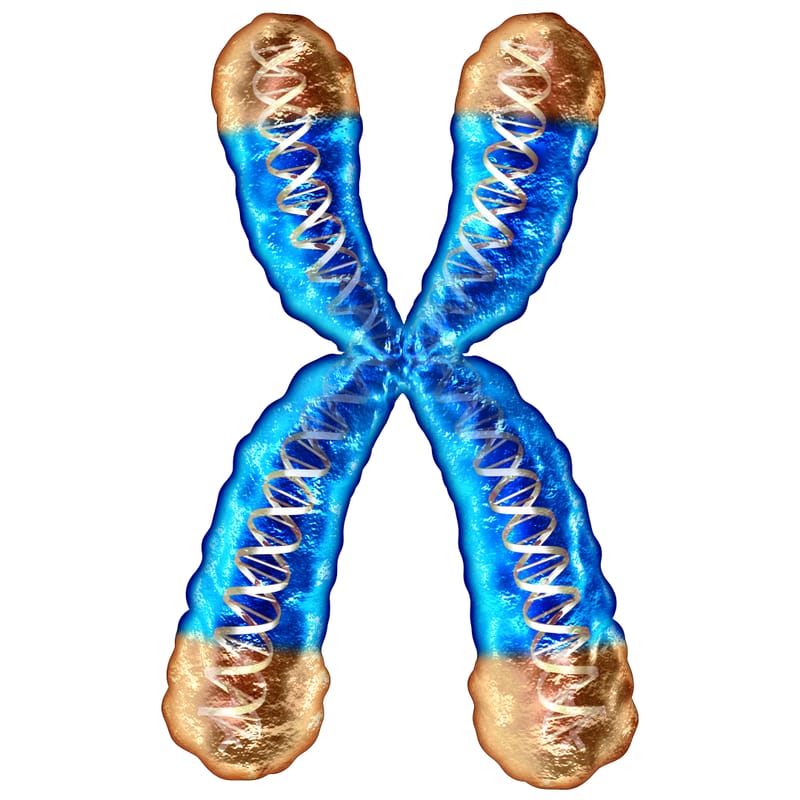 Vitamin D Supplementation Shown to Slow Telomere Shortening in Major Clinical Trial
