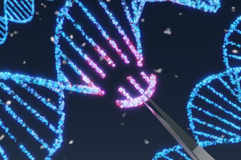 New Compact Gene Therapy Tool Developed Through Rational Engineering