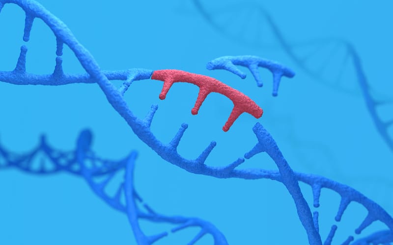 World’s First Baby Treated with Personalized CRISPR Gene Editing