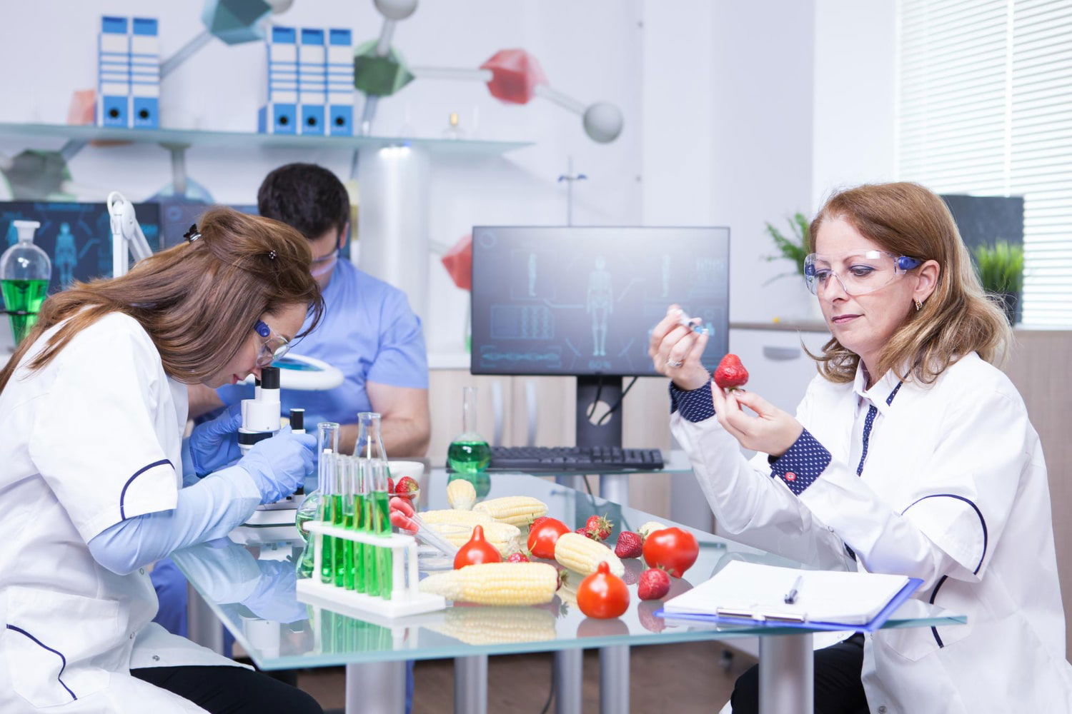 Ispezione degli alimenti - corso di formazione haccp online. 