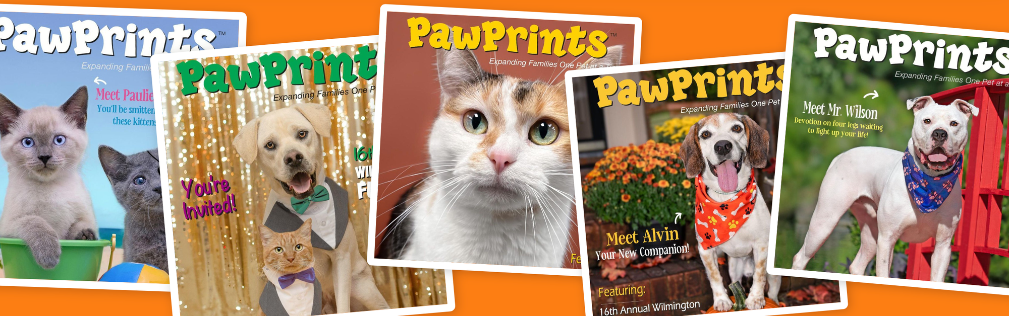 PawPrints Magazine