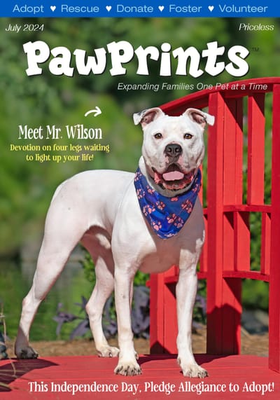 PawPrints Magazine