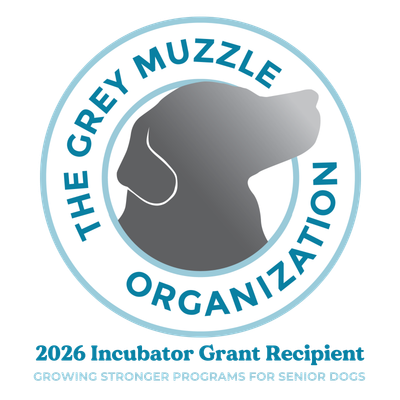 2026 Grey Muzzle Incubator Grantee