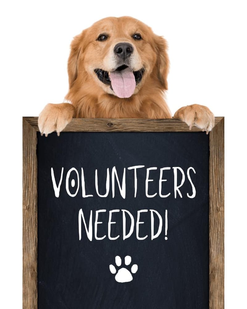 Volunteer Opportunities