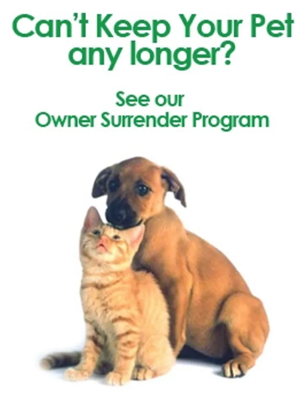 Pet Surrender