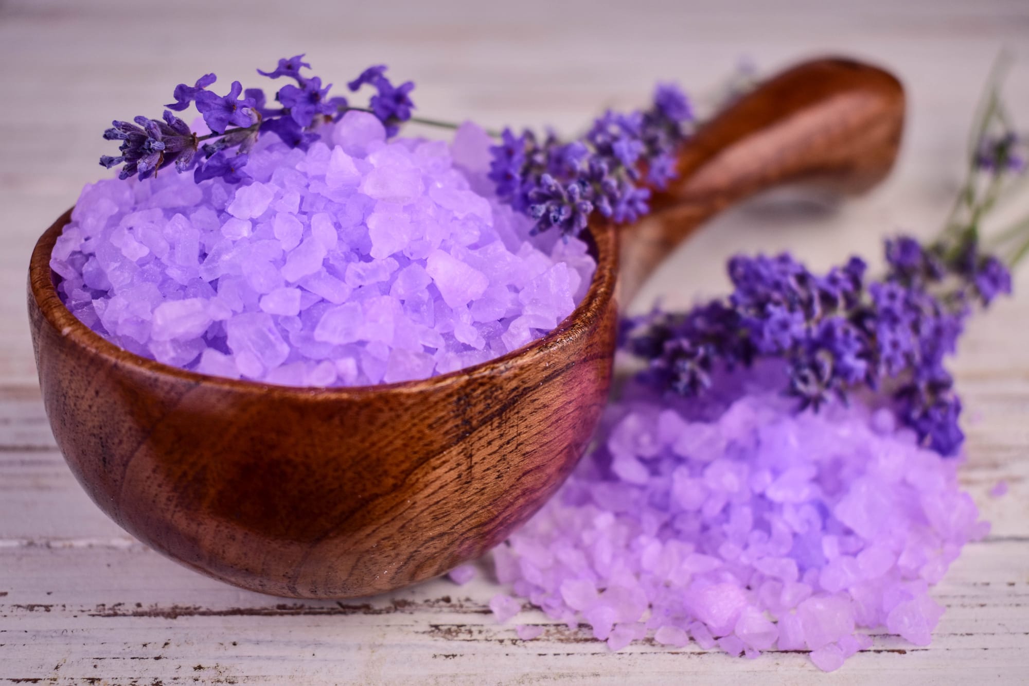 Steffies- Winterangebot Lavendeltraum