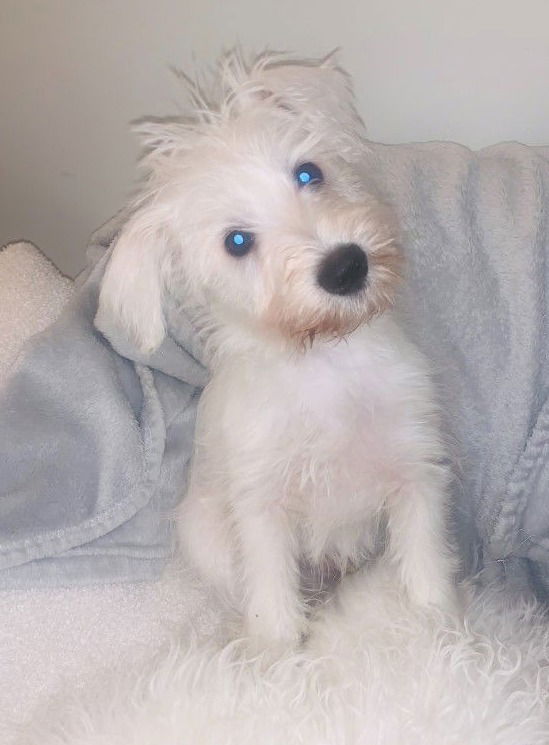 Such a beautiful message, Thank you 🥰