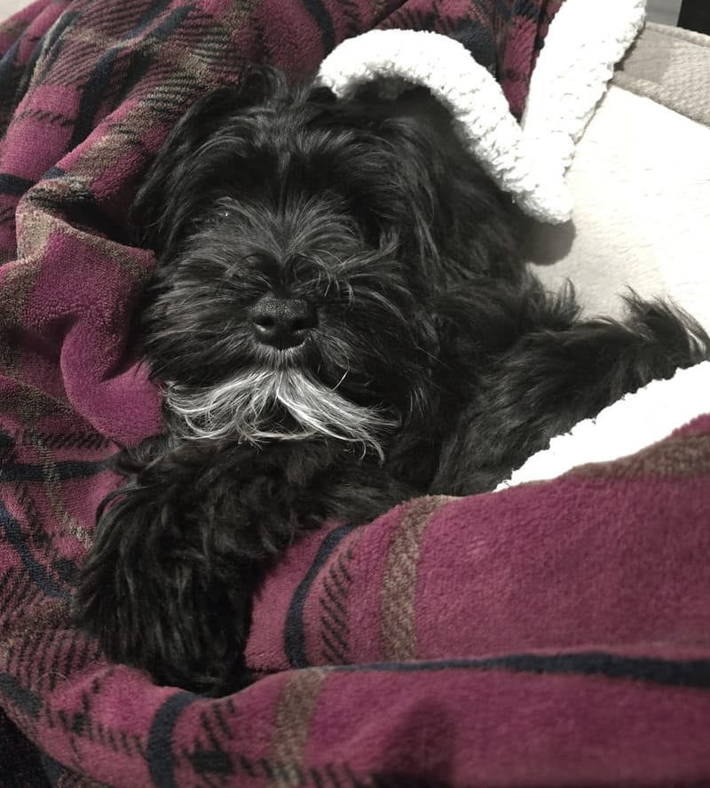 Happy Easter Boozer Ares