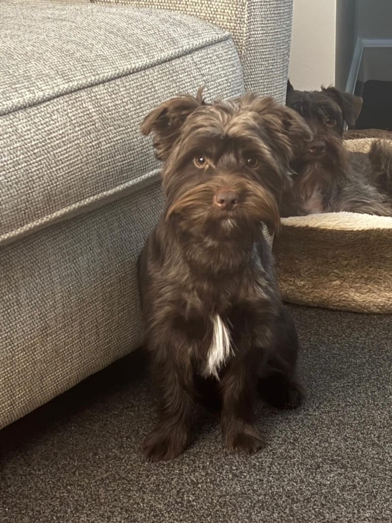 Happy 1st Birthday Rory, Boozer