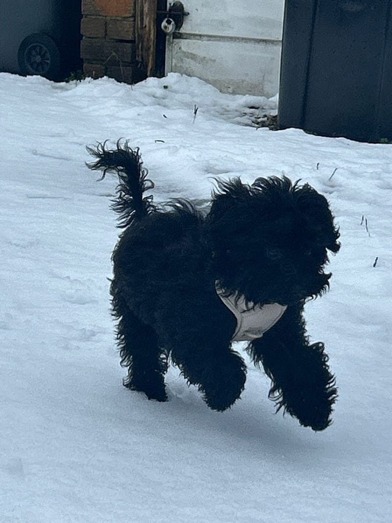 Such a Lovely Message from Sansa's new mummy