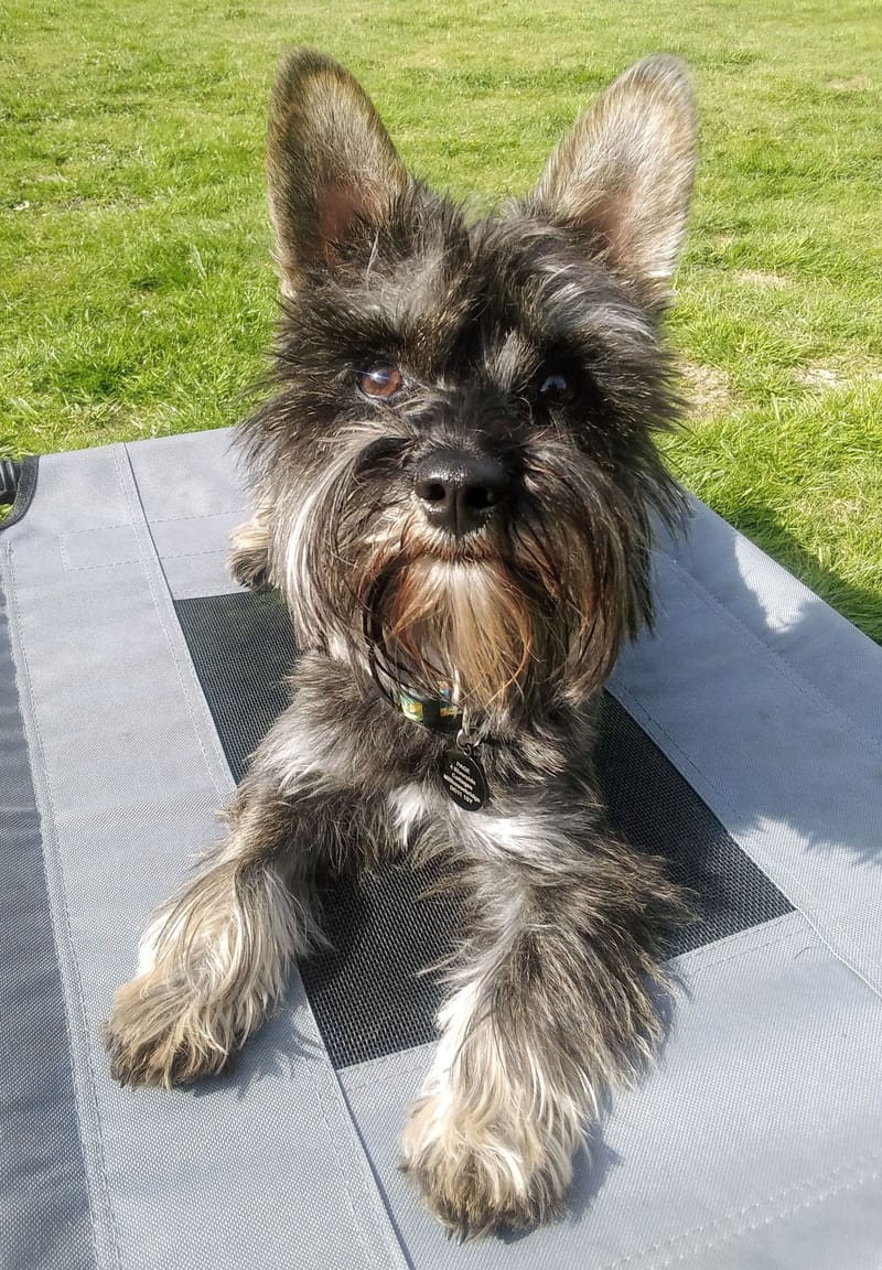 Sprout, Loving Life 🐸