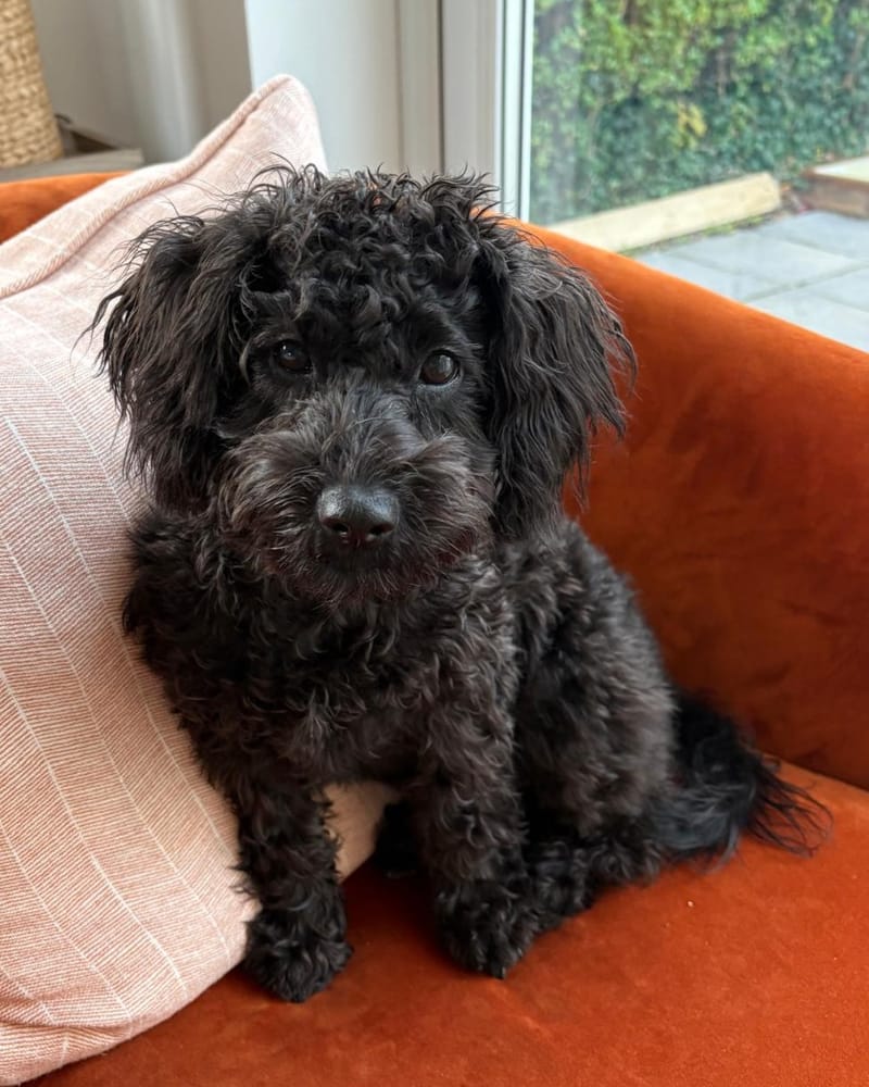 Messages like this make my day ☺️