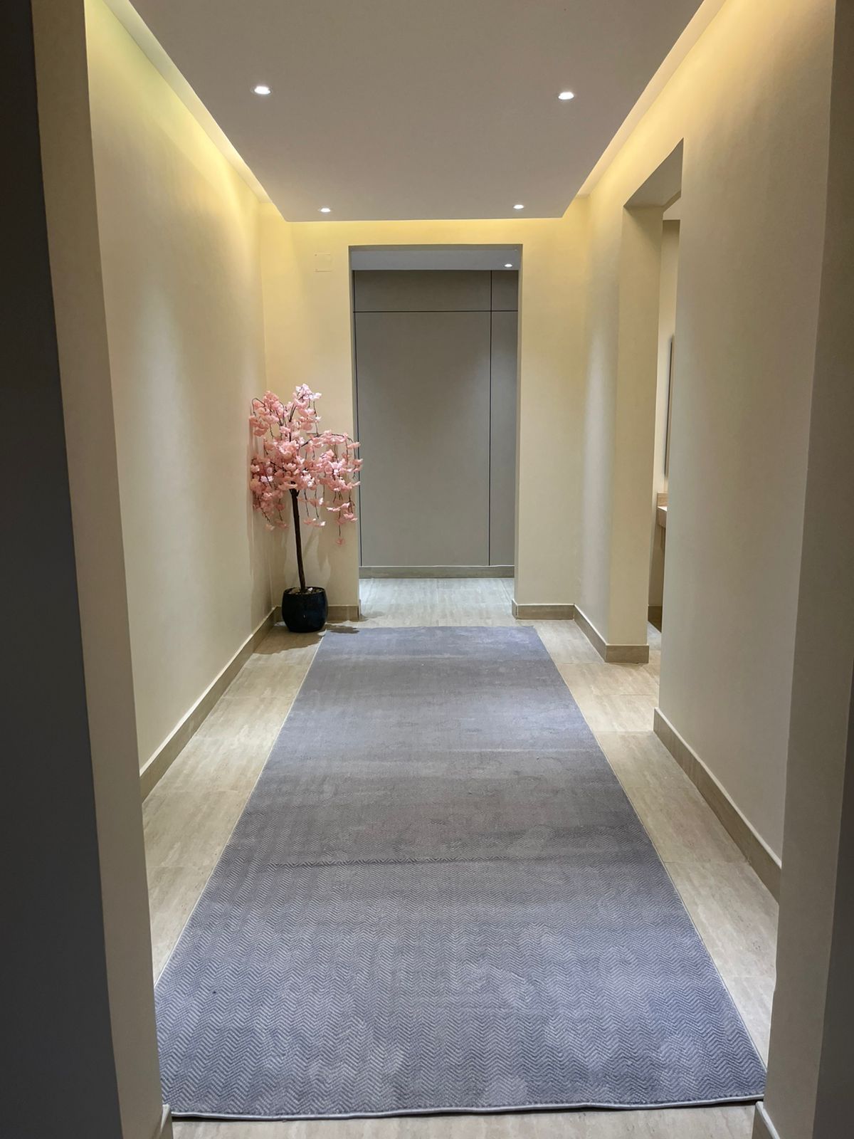 Dharia Street - Al-Fakhriya District - Riyadh - Riyadh City