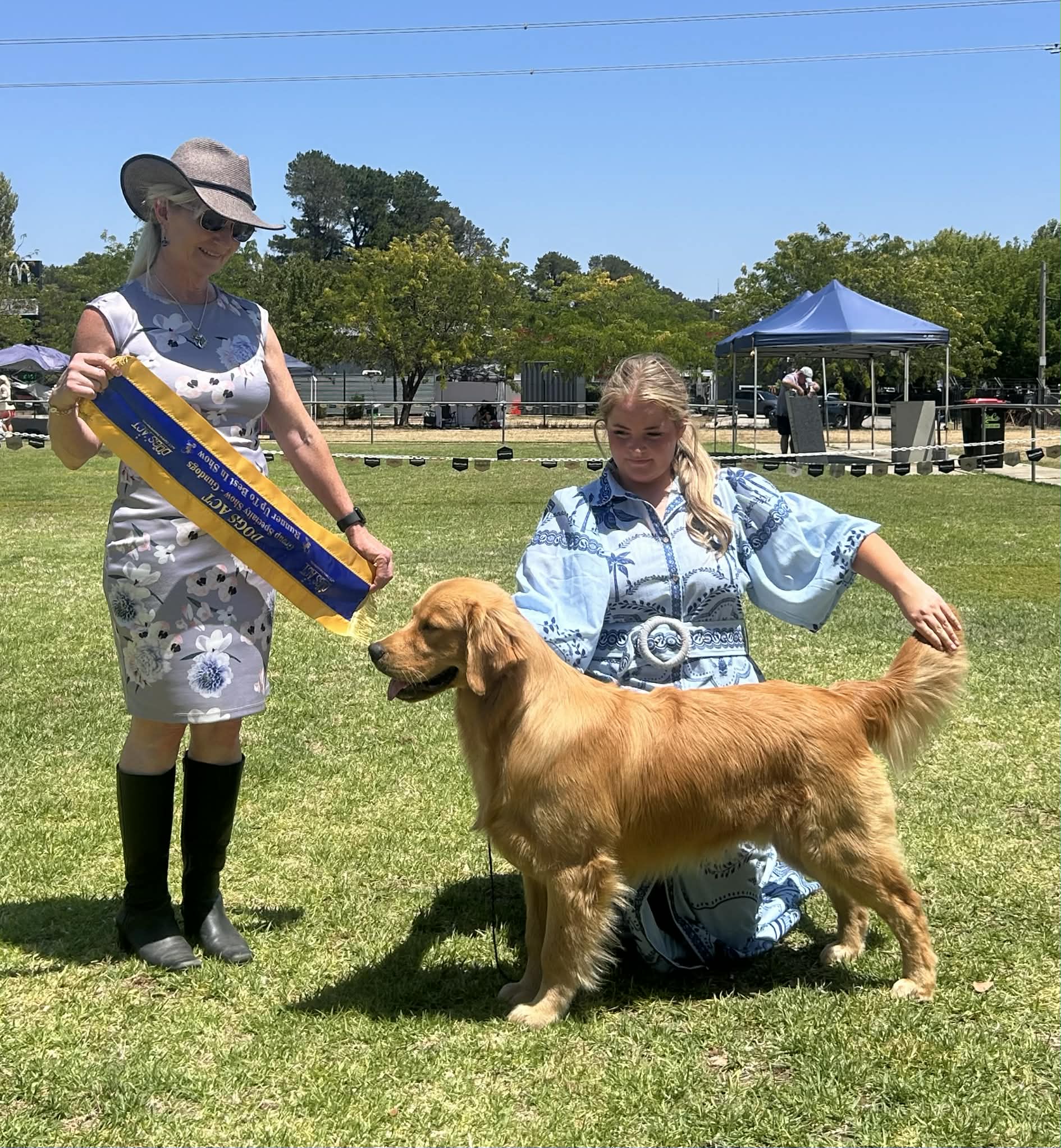 Runner up Best in Show @ Canberra ~8.5 months old
