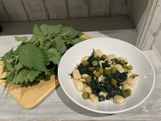 Nettle and Butterbean