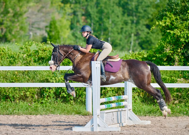2025 Harmony Hills #1 Hunter Jumper Show-April