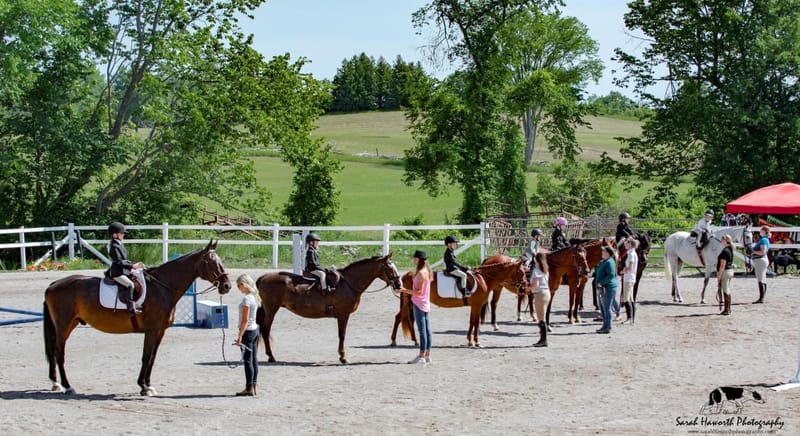 2025 Harmony Hills #2 Hunter Jumper Show-MAY