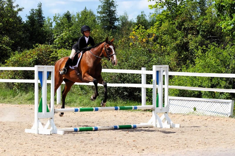 2025 Harmony Hills #3 Hunter Jumper Show-JULY