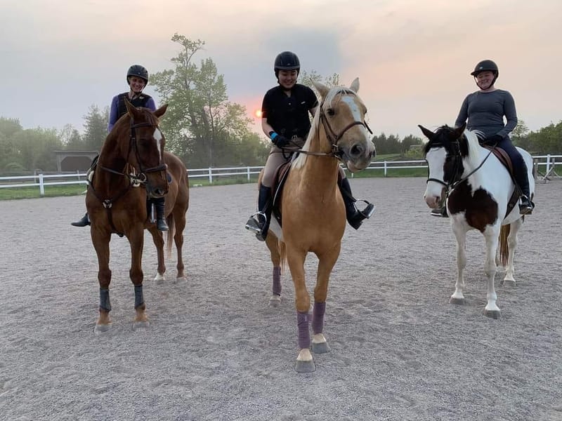 Novice & Intermediate Rider