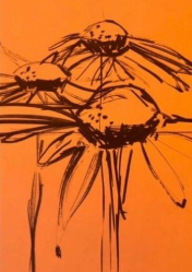 Drawing and Printing from Nature course