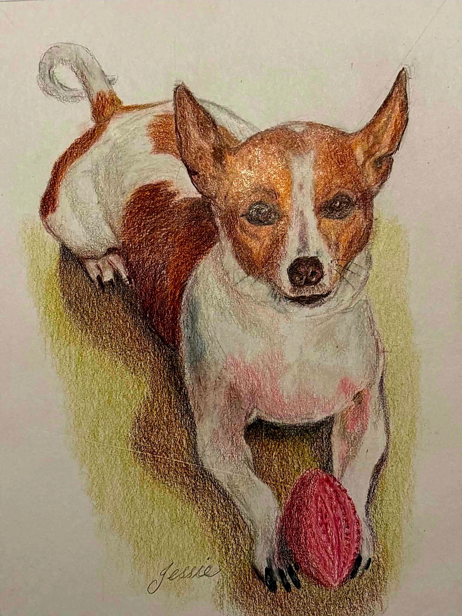 Jessie