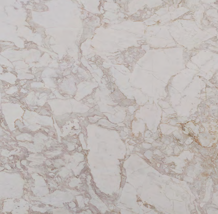 Calcatta Arabesque Honed