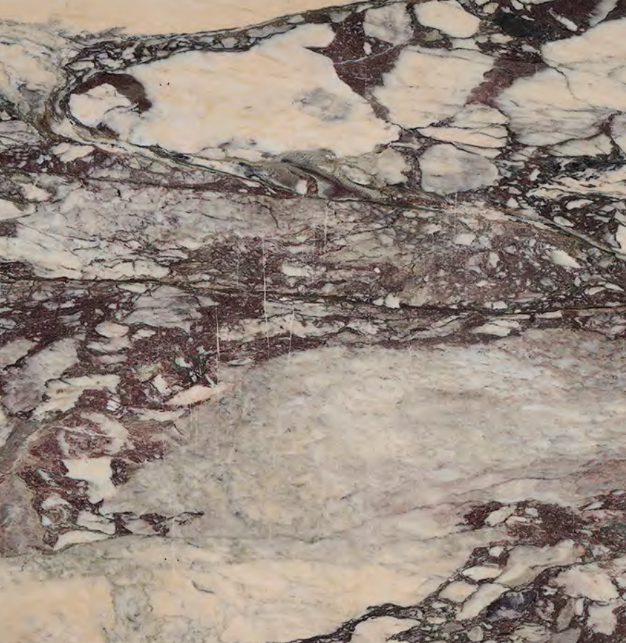 Calcatta Viola