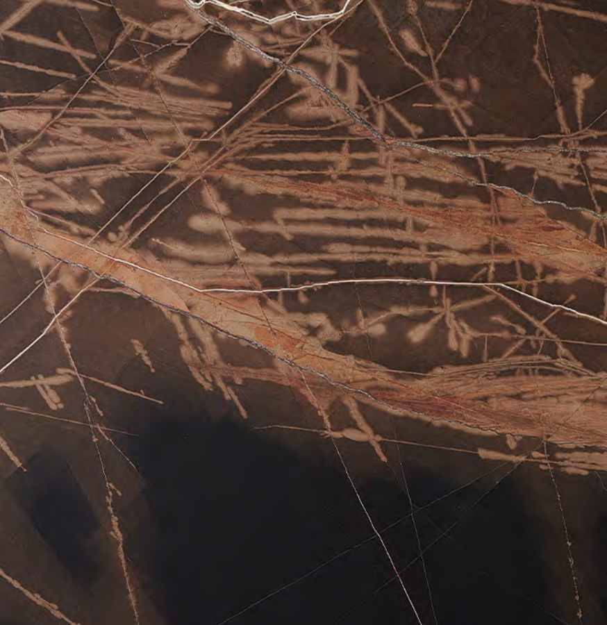 Bronze Fantasy Leather