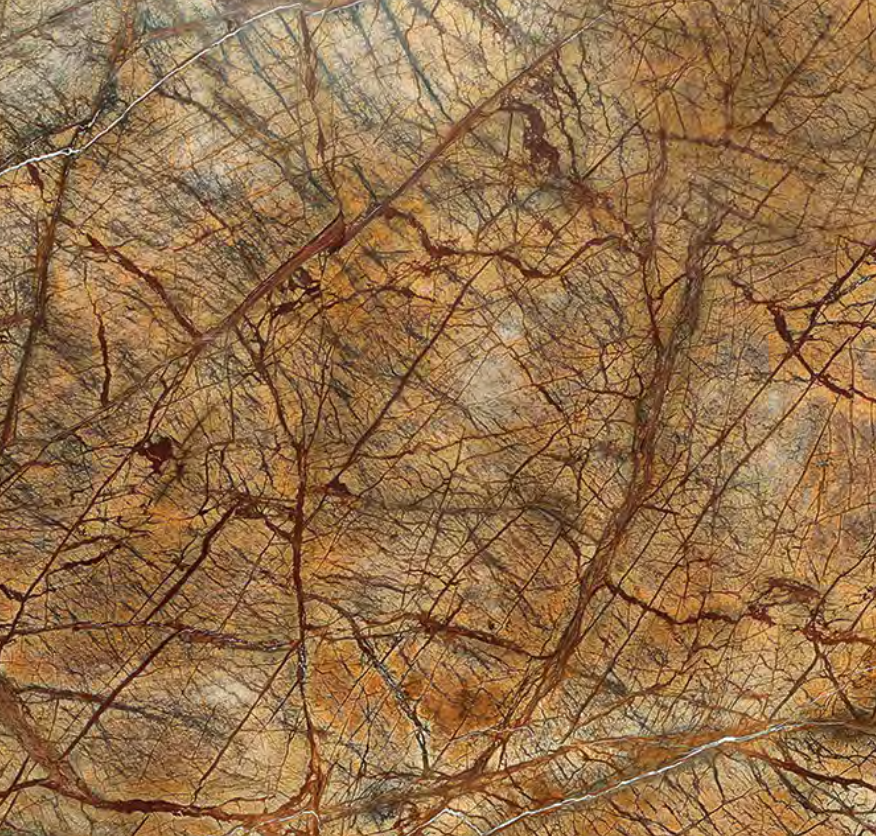 Rainforest Brown