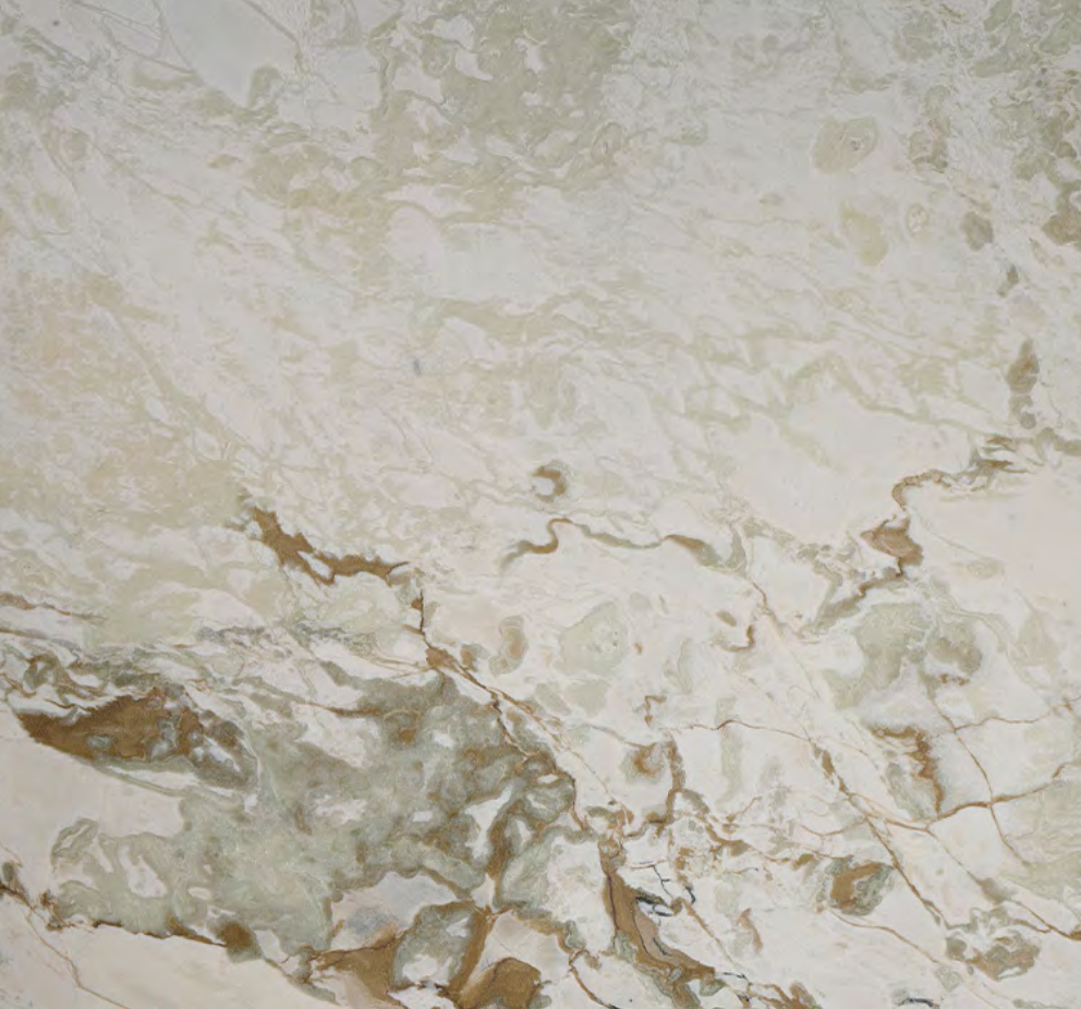 Picasso Leather