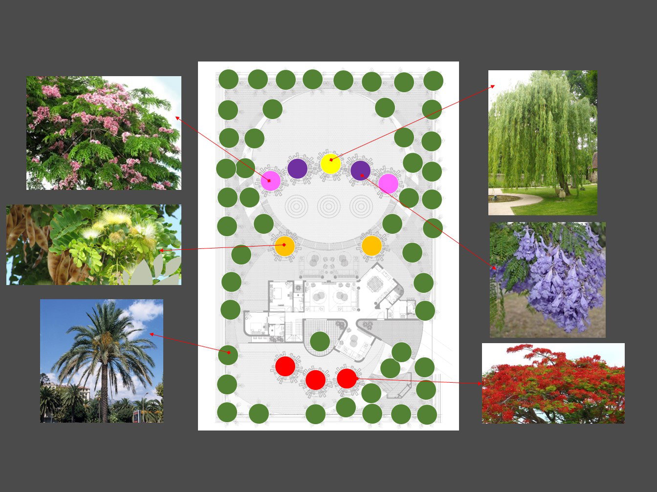 منظر طبيعي لمزرعة بدر