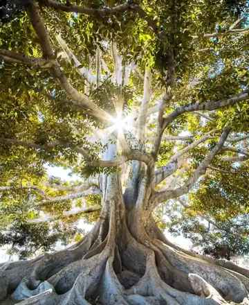 COUNSELLING AND PSYCHOTHERAPY  image