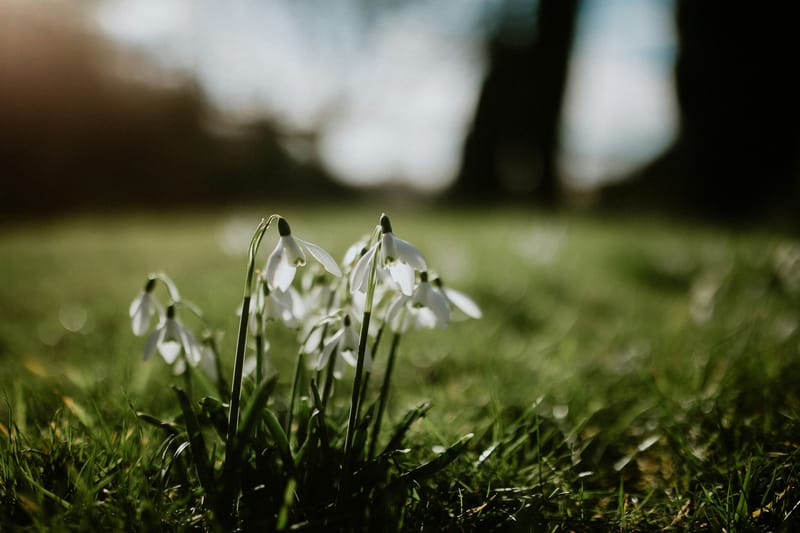 5 Simple Steps to Boost Your Mental Health