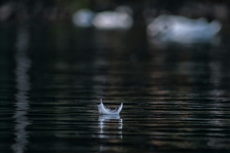 When Silence Is Not Golden: Grief, Shame, and the Cost of Avoidance