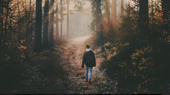 Navigating Emotional Healing: Steps to Reclaim Your Sense of Self.