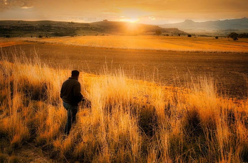 Navigating Emotional Overwhelm: Practical Tools for Trauma Survivors