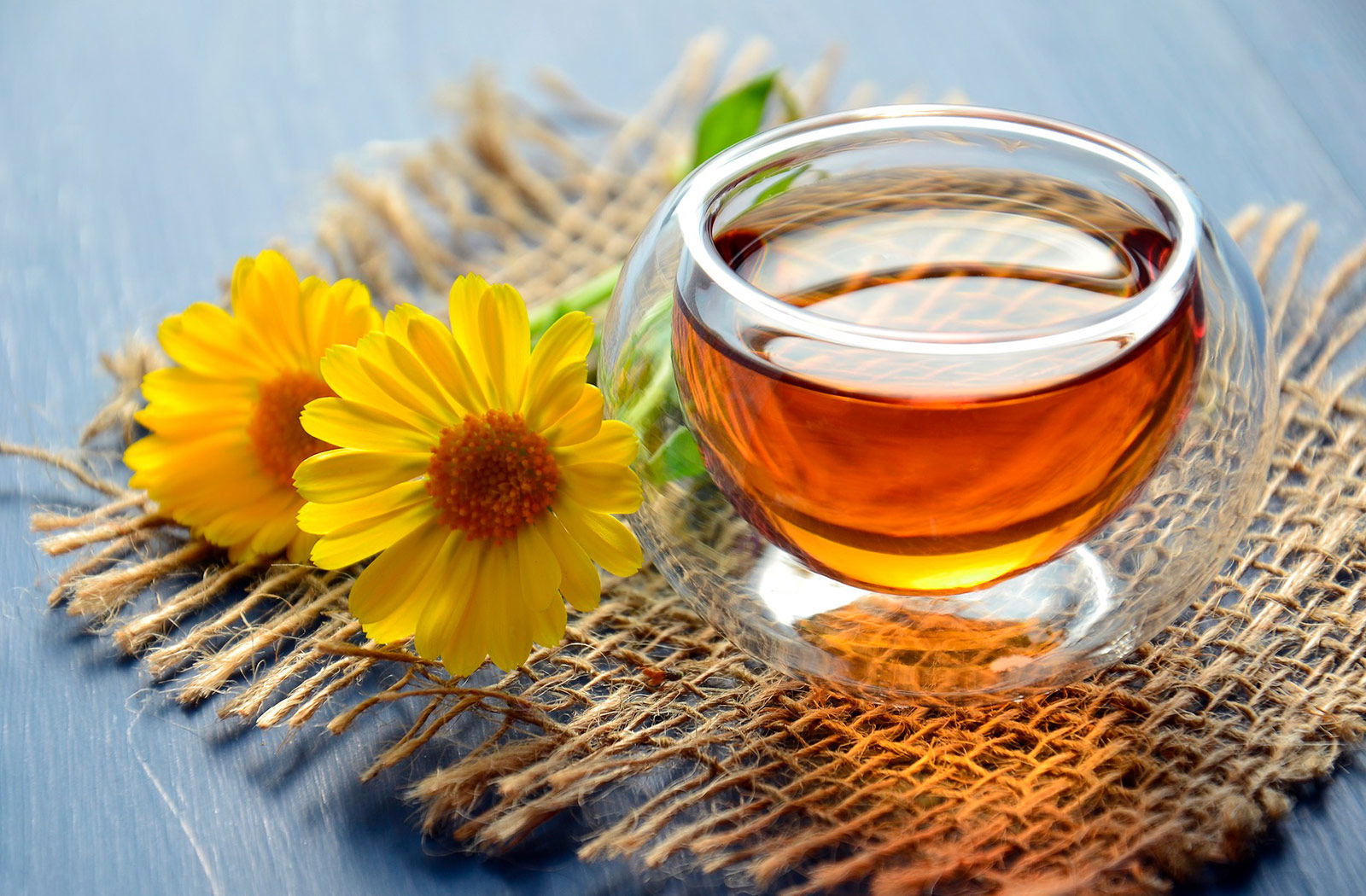 Calendula or Marigold