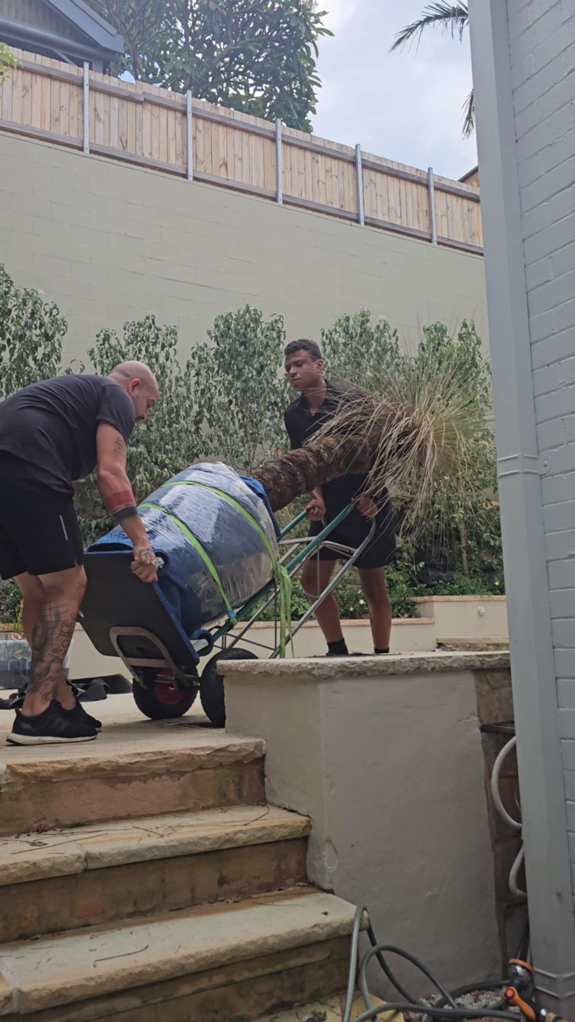 Removalists in Lane Cove – Fast, Efficient & Reliable Movers