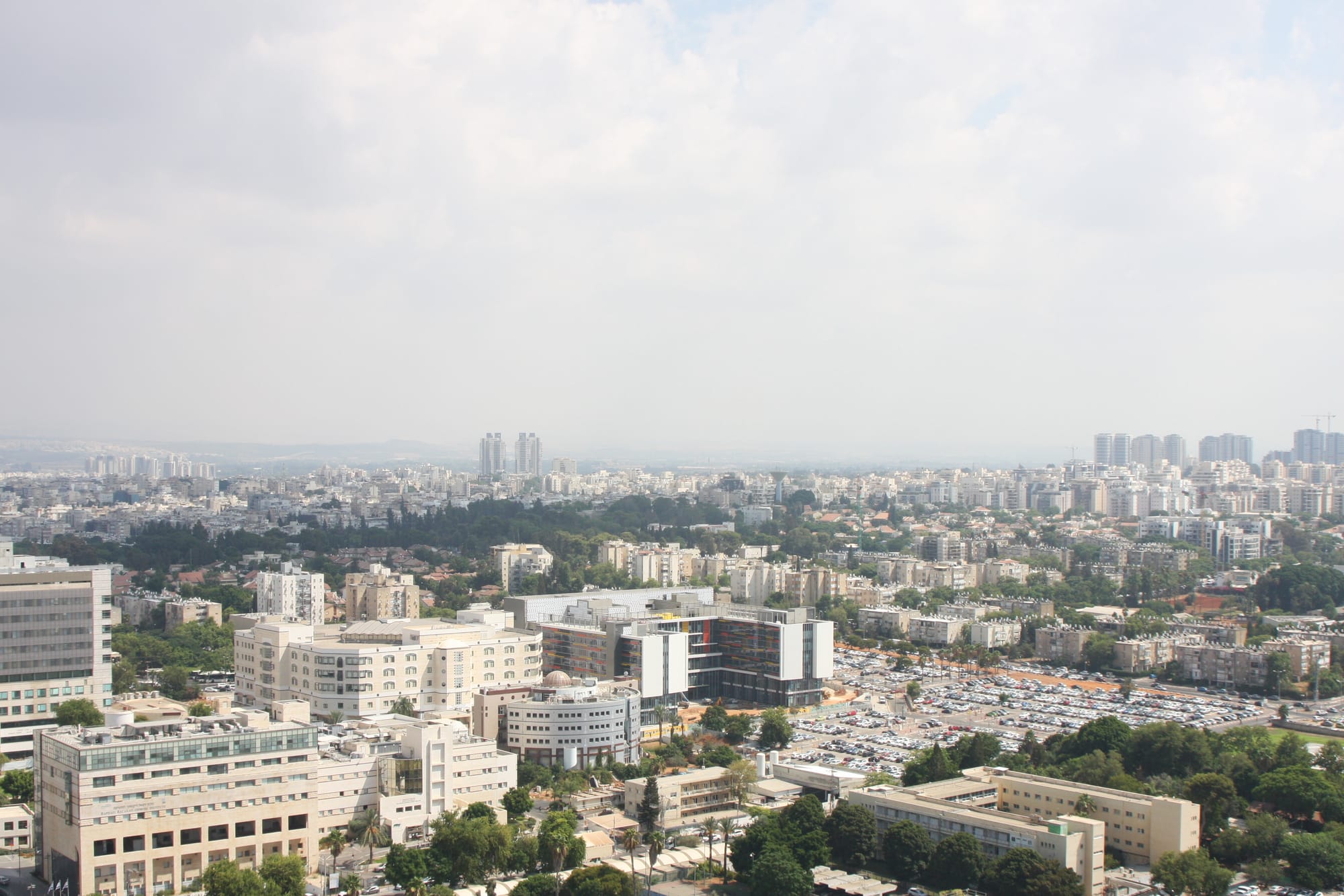 מטפלת רגשית בהוד השרון