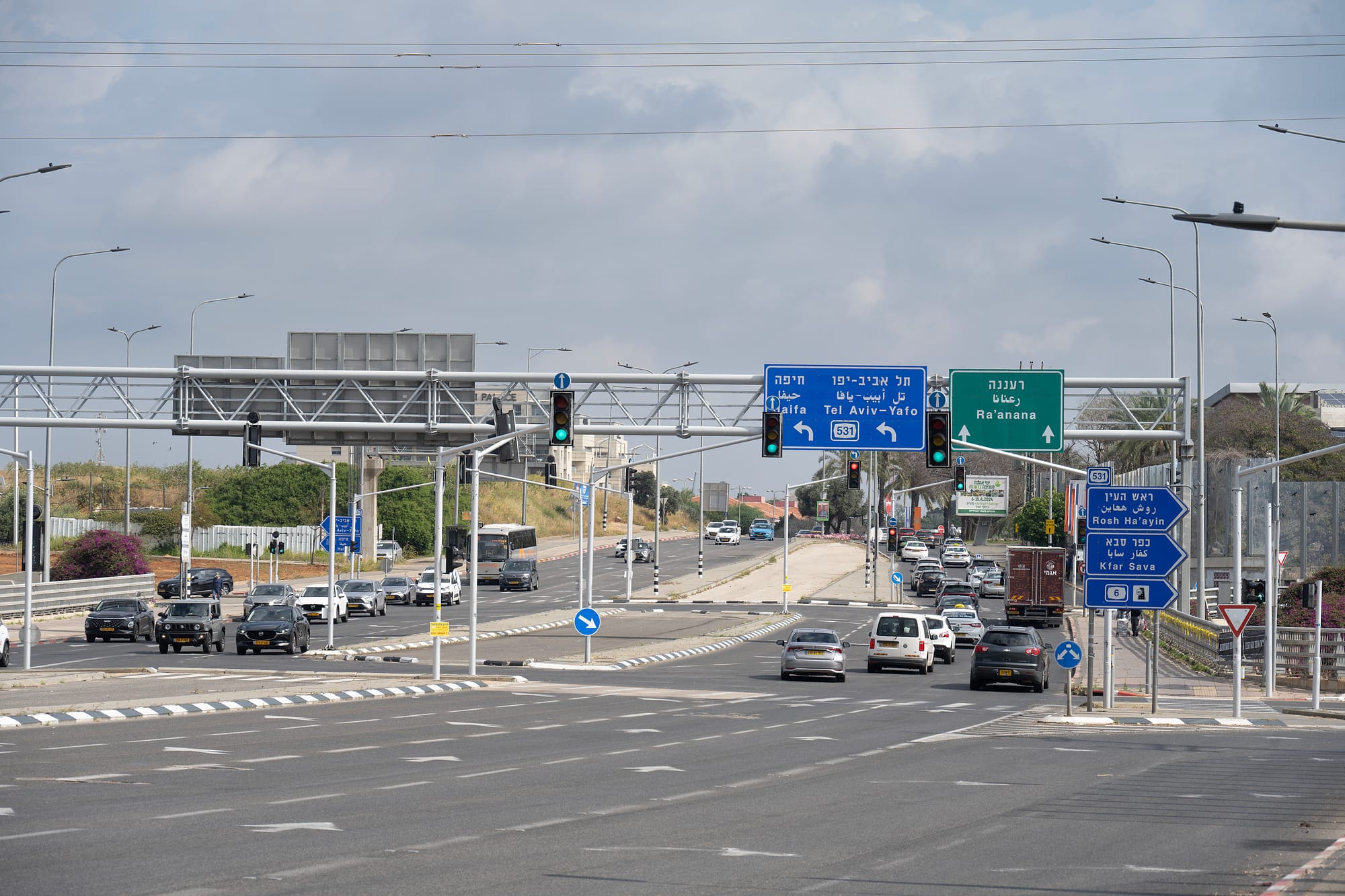 מטפלת רגשית בהרצליה