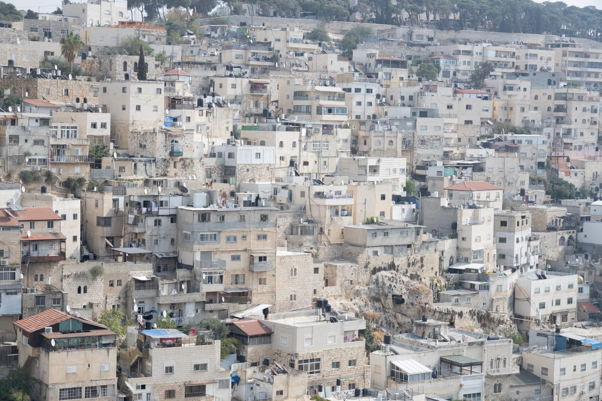 טיפול רגשי בגבעת שמואל