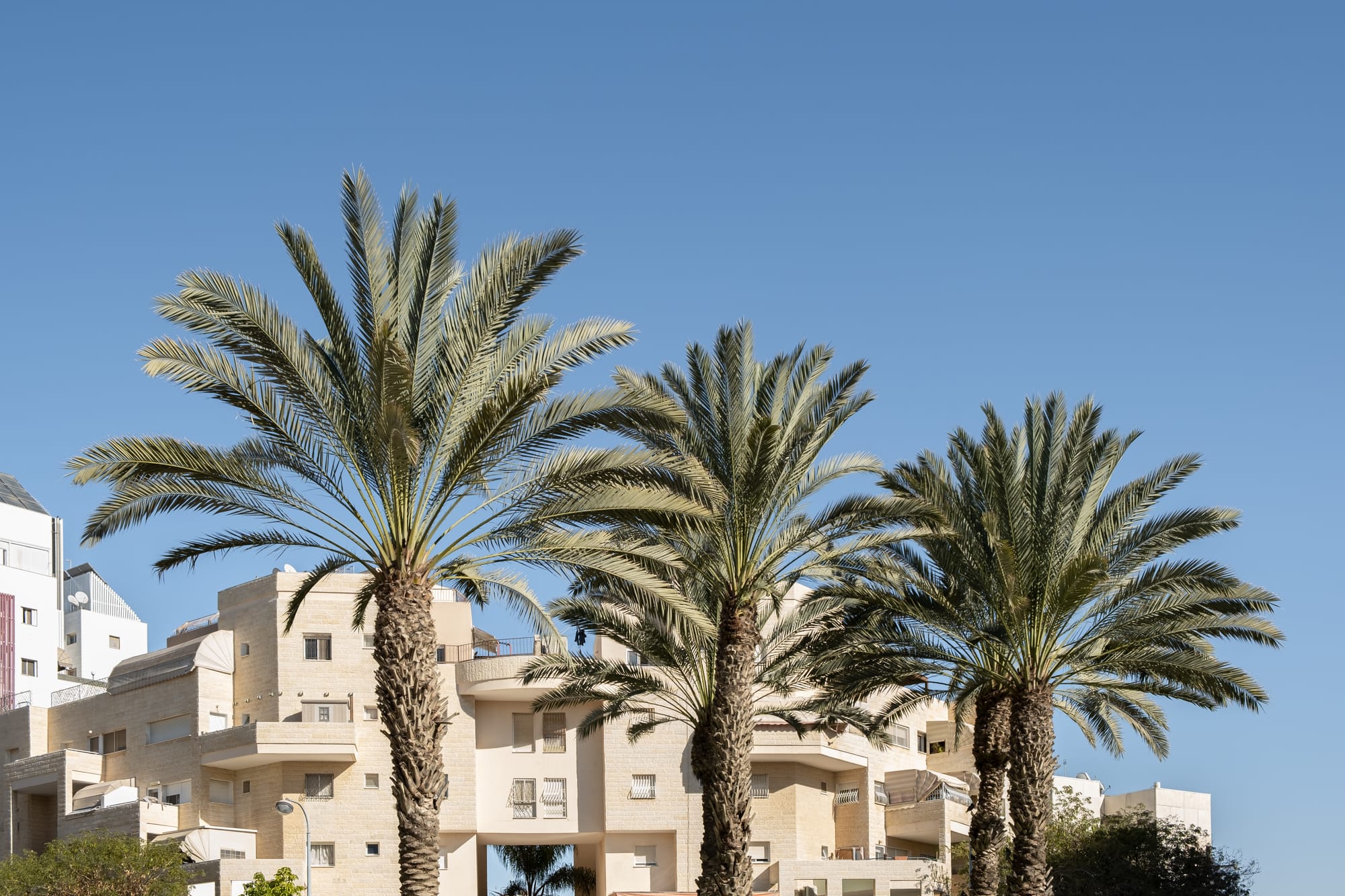 טיפול רגשי בבאר שבע