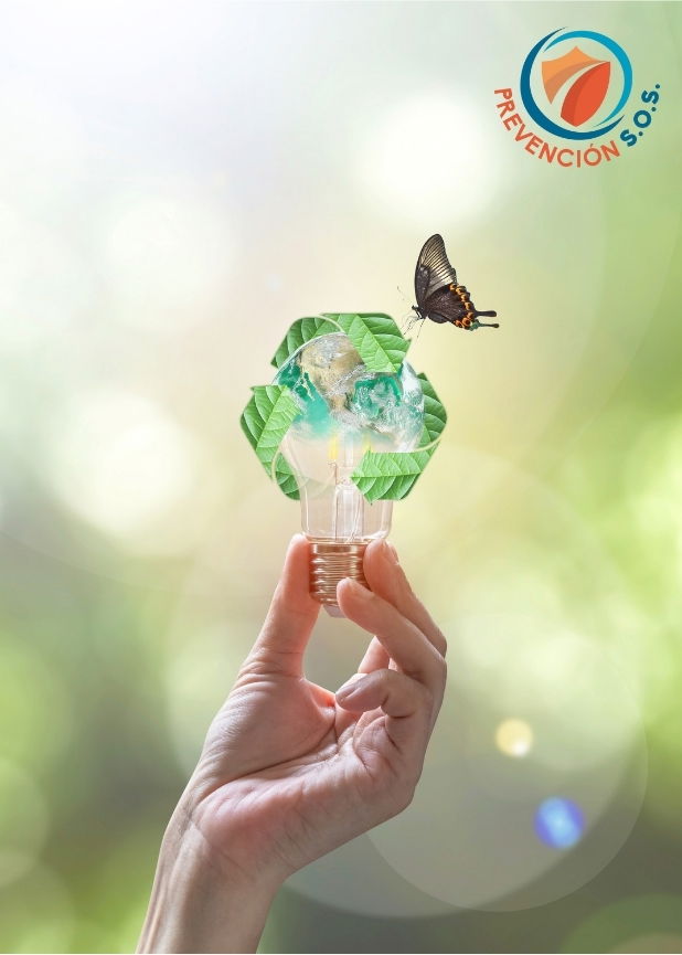 Cumplimiento y Gestión Ambiental