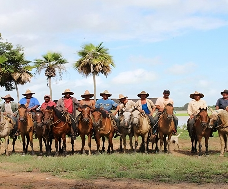 Fin de Semana en Finca Ganadera