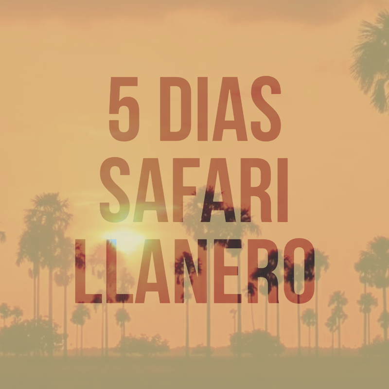 Ruta Safari Llanero Febrero