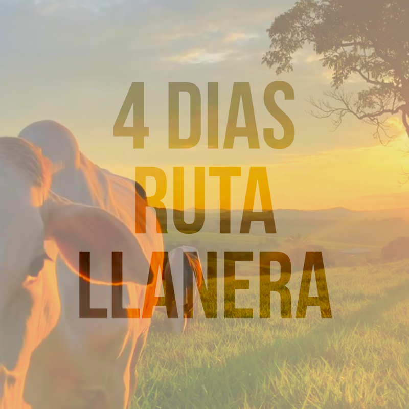 Ruta Llanera Mayo