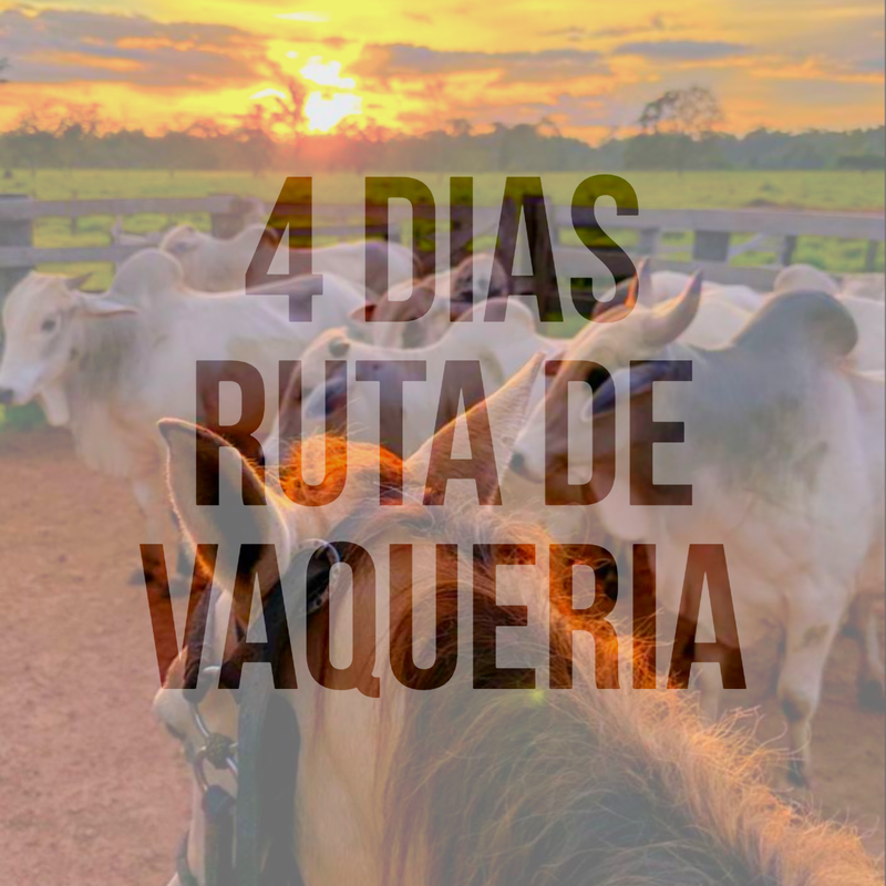Ruta de Vaquería Julio