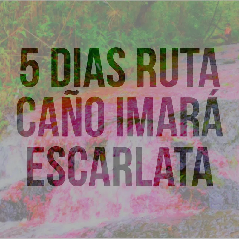 Ruta Caño Imara Escarlata Septiembre